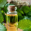 Lemon Balm Oil Inhalation Therapy: All You Need to Know